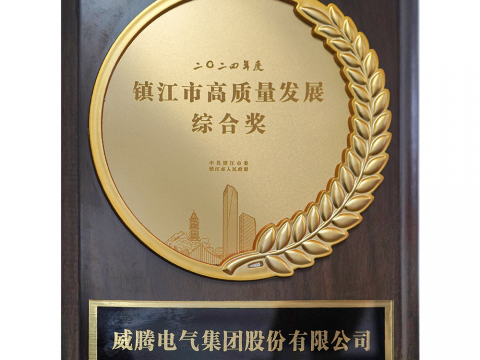 喜讯│人生就是博官方网站荣获2024年度镇江市高质量开展综合奖