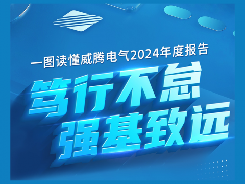 一图读懂人生就是博官方网站电气2024年度报告