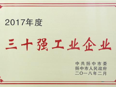 人生就是博官方网站集团提升2017年度扬中市“三十强”前五位